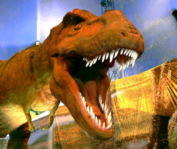 Dinosaurios, una experiencia jurásica.